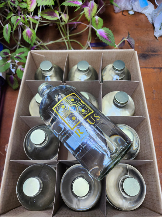 Rius Structured Water – 34oz Bottles (12 count, 1 case)