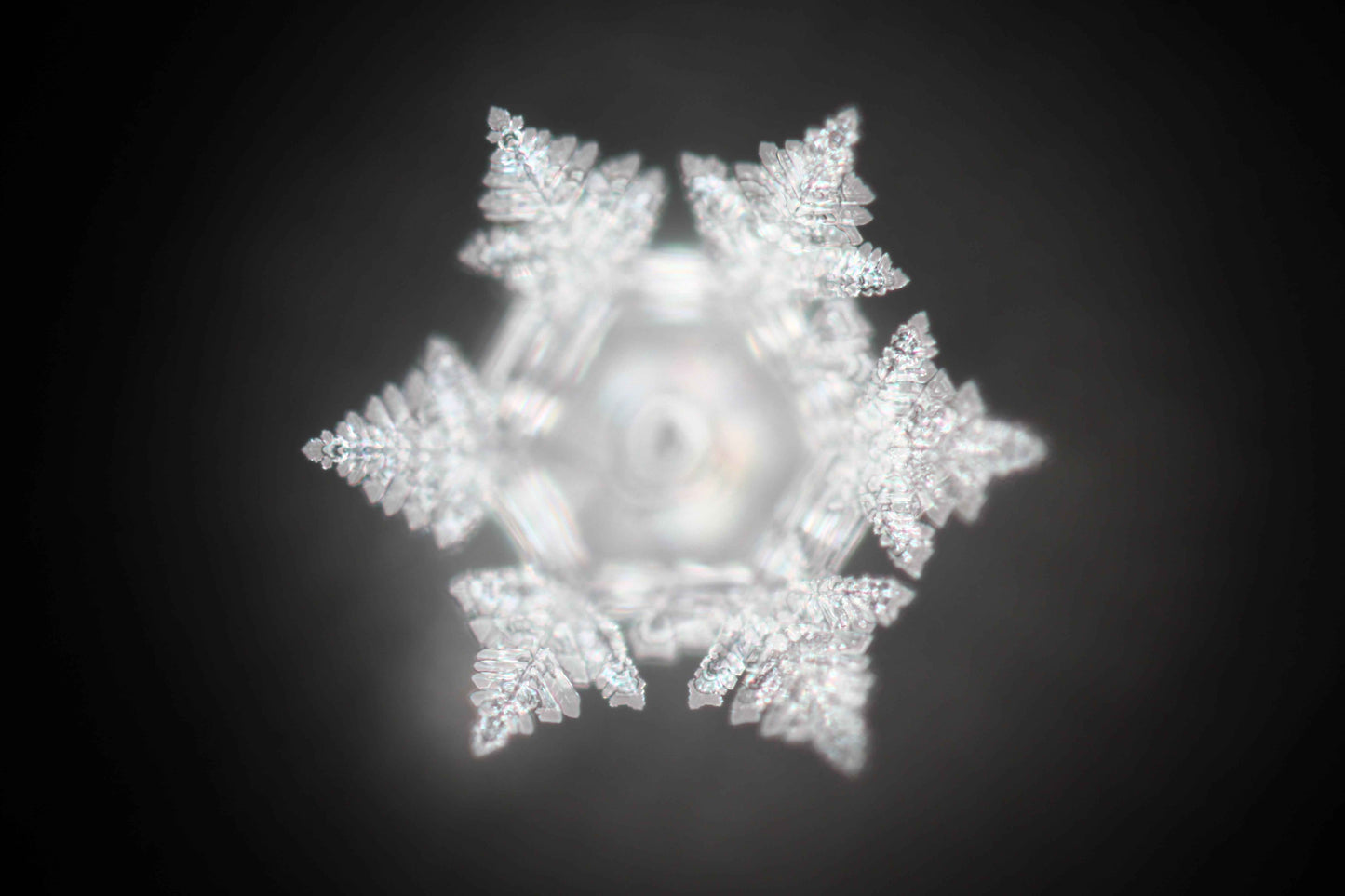 Structured Water - Crystal Charging Chamber - Wellness & Energy Amplification Chamber