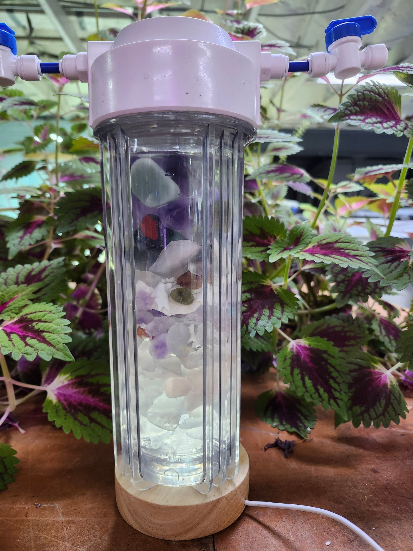 Rius Crystal Charging Chamber filled with healing crystals among green plants