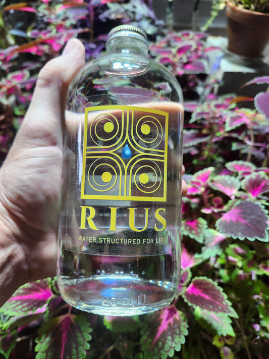 Looking For An Excellent Water?