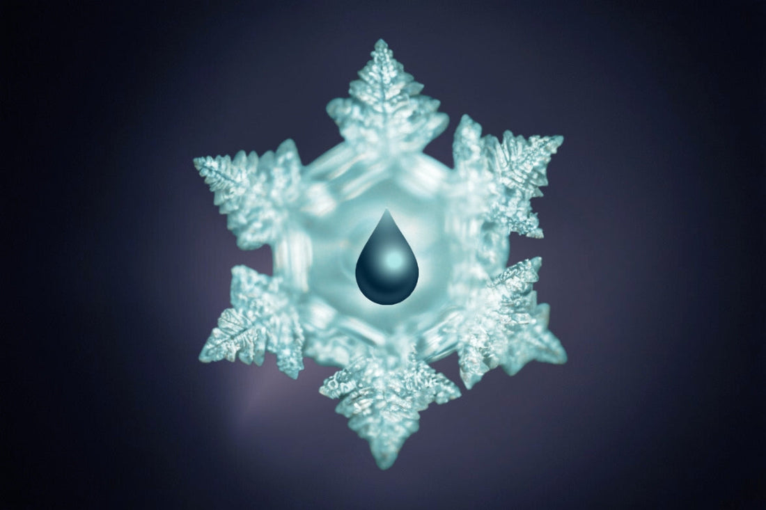 The Pioneering Work of Dr. Masaru Emoto & The Journey Behind Rius Water