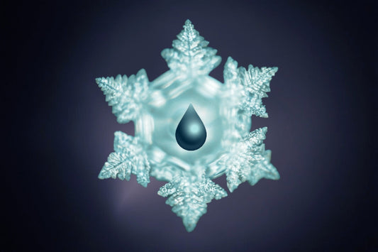 The Pioneering Work of Dr. Masaru Emoto & The Journey Behind Rius Water