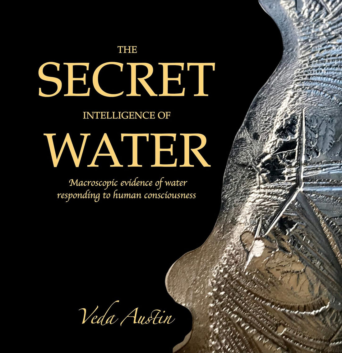 Veda Austin: The Water Whisperer Revealing Hidden Messages in Ice