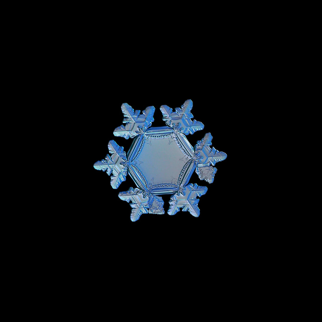 Filtered Water Does Not Mean It Is Living Structured and Energetically Amplified Water