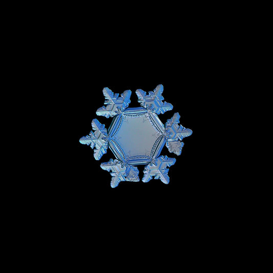 Filtered Water Does Not Mean It Is Living Structured and Energetically Amplified Water