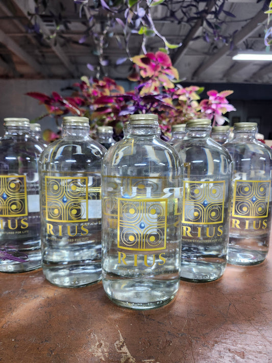 Rius Structured Water – 34oz Bottles  (12 count, 1 case)