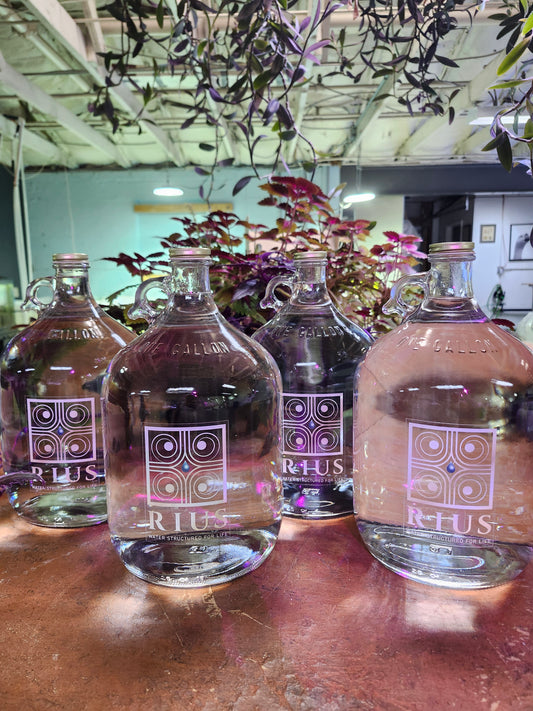 Rius Structured Water – 1 Gallon Jug (4 count, 1 Case)