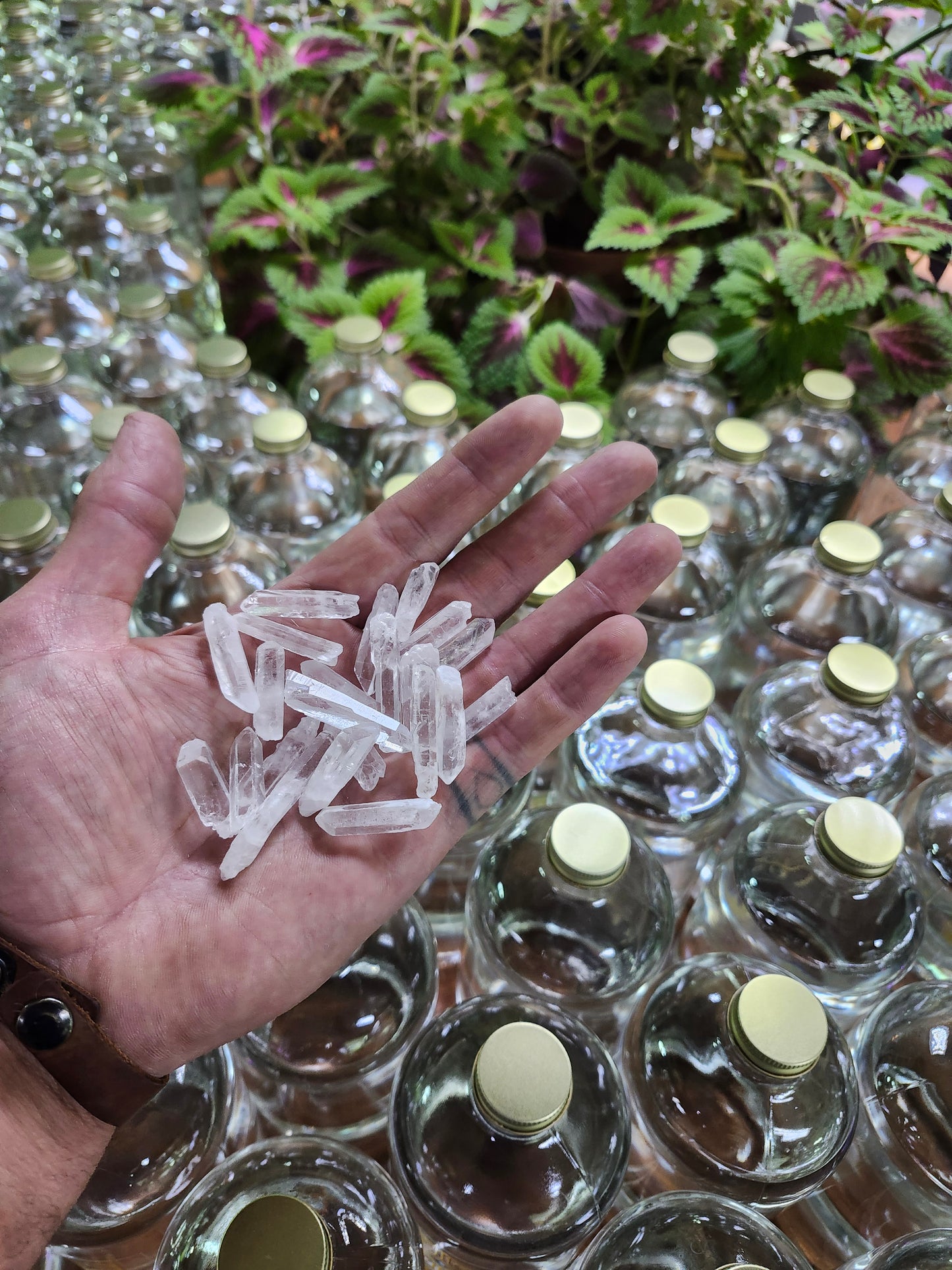 Rius Structured Water – 34oz Bottle