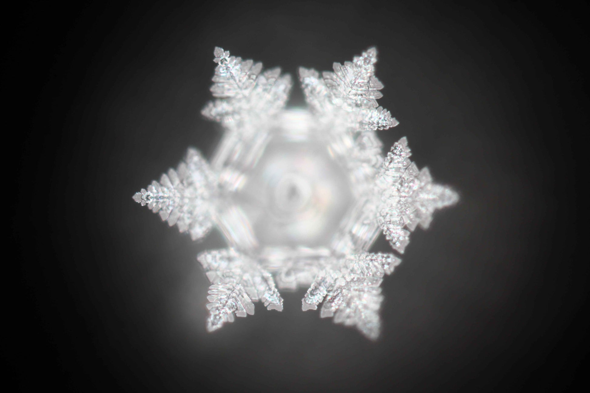 Structured Water - Crystal Charging Chamber - Wellness & Energy Amplification Chamber