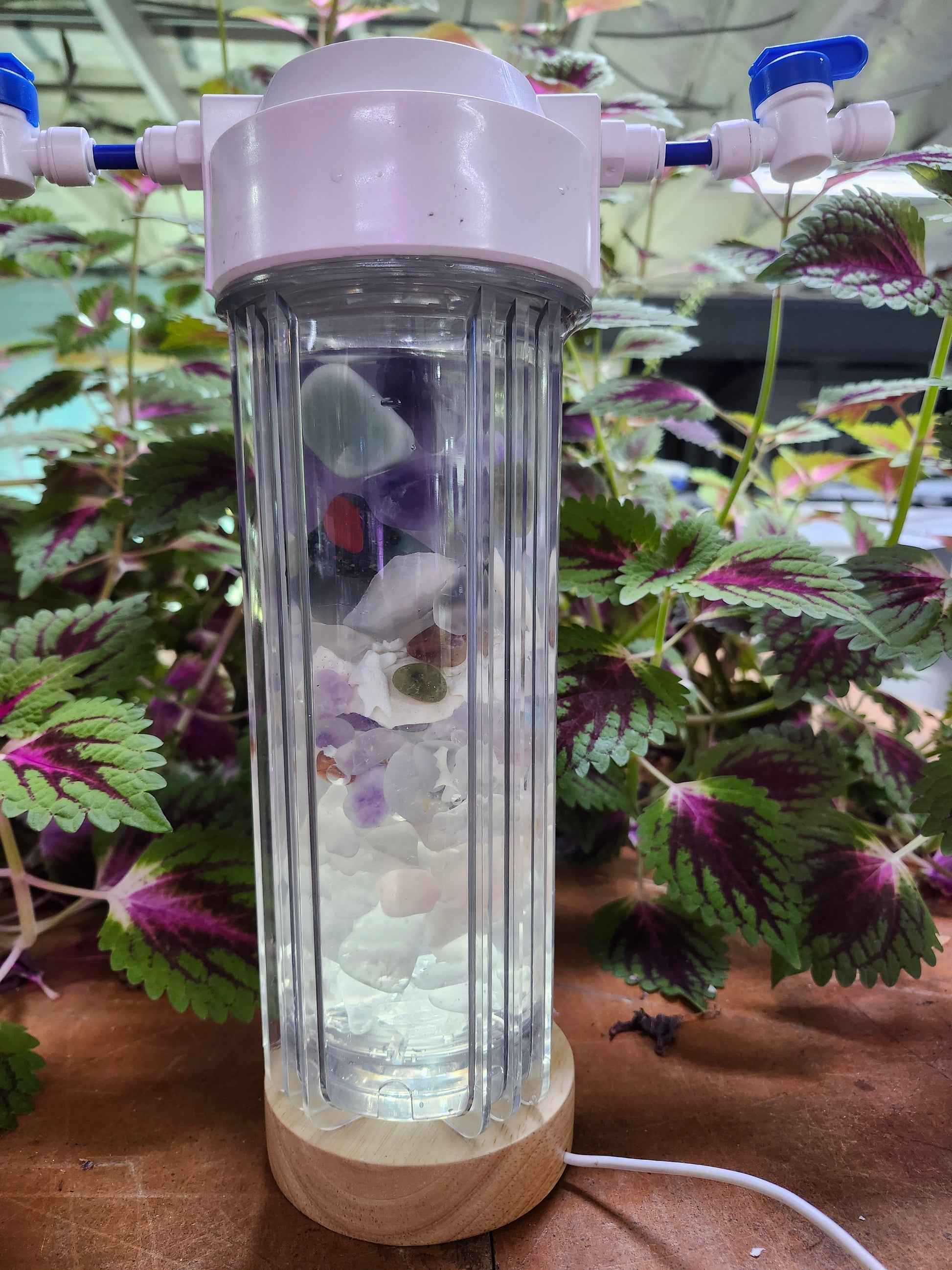 Rius Crystal Charging Chamber filled with healing crystals among green plants
