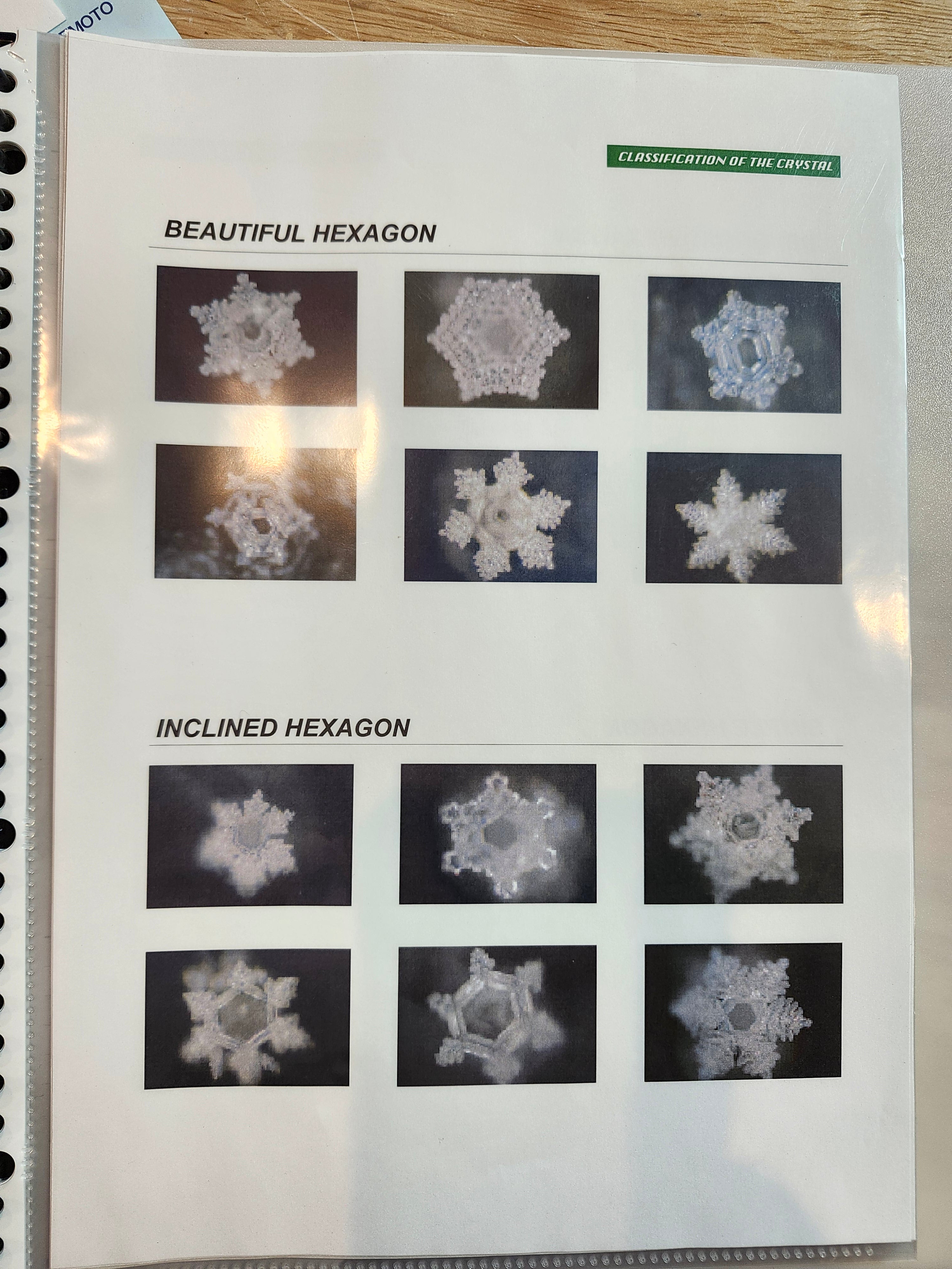 Office of Masaru Emoto review pages showing hexagonal water crystal photographs from Rius Water samples