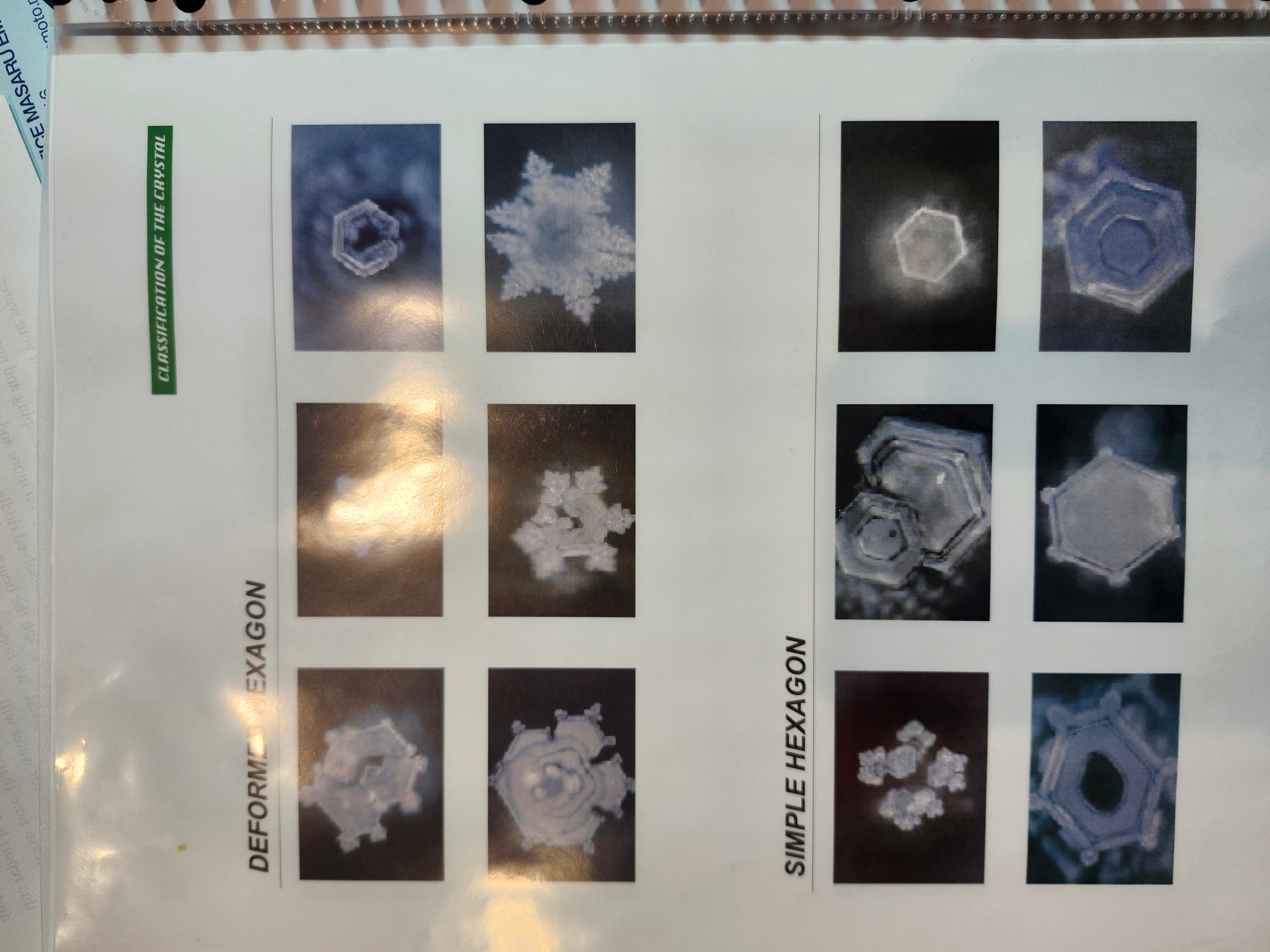Page of microscope water crystal results from the Office of Emoto review of Rius structured water